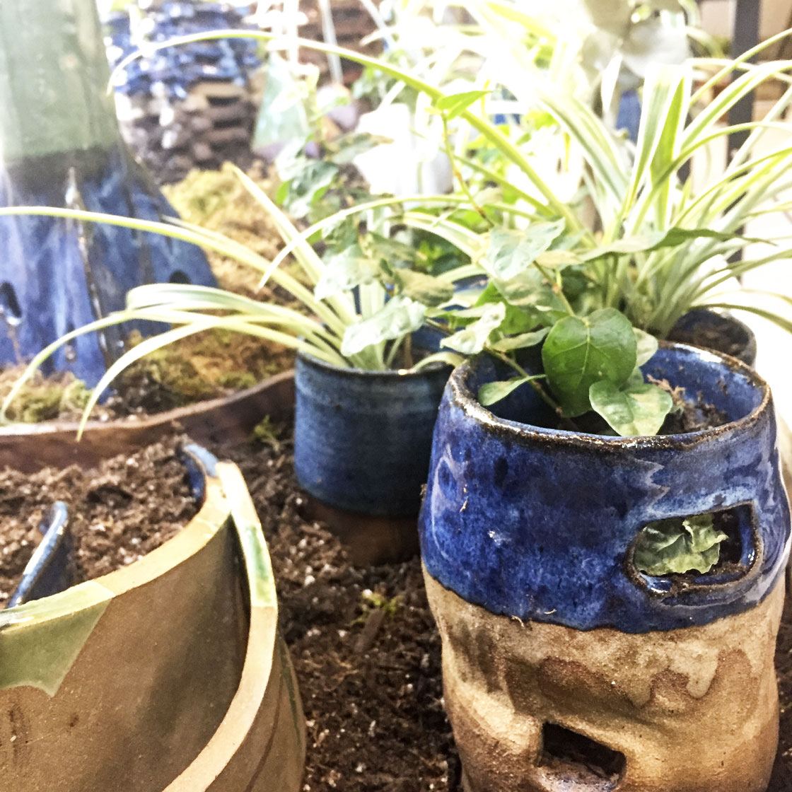 Several handcrafted ceramic pots with plants